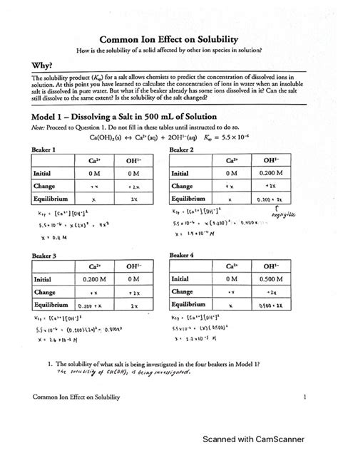 solubility pogil